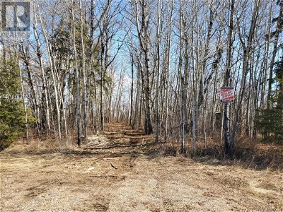 Image #1 of Commercial for Sale at Lot 2 Campsite Road, Plamondon, Alberta
