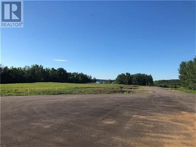 Image #1 of Commercial for Sale at Lot 18 Campsite Road, Plamondon, Alberta