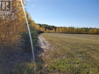 Image #1 of Commercial for Sale at 68126 Campsite Road, Plamondon, Alberta