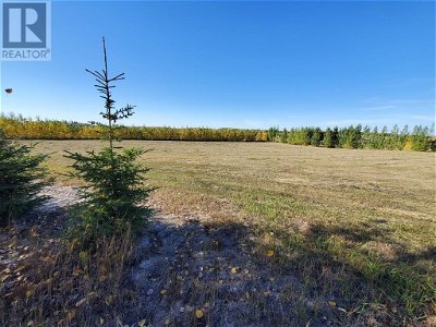 Image #1 of Commercial for Sale at 68126 Campsite Road, Plamondon, Alberta