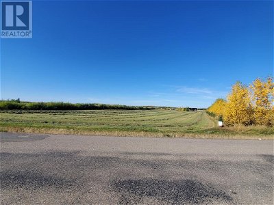 Image #1 of Commercial for Sale at 68116 Campsite Rd., Plamondon, Alberta