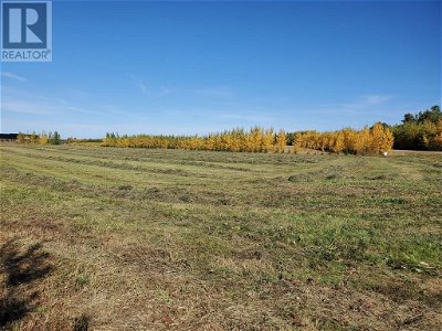 Image #1 of Commercial for Sale at 68116 Campsite Rd., Plamondon, Alberta