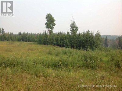 Image #1 of Commercial for Sale at Lot6 B2 Mountain Springs Subdv., Woodlands, Alberta