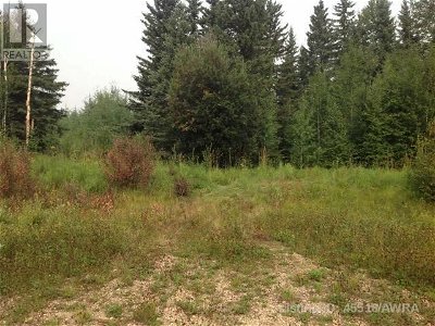 Image #1 of Commercial for Sale at Lot 1 B2 Mountain Springs Subdv., Woodlands, Alberta