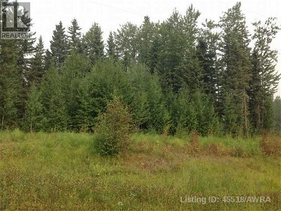 Image #1 of Commercial for Sale at Lot 1 B2 Mountain Springs Subdv., Woodlands, Alberta