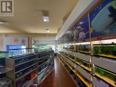 Businesses for Sale in Canada