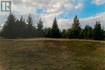 Image #1 of Commercial for Sale at 20 68165 Campsite Road, Plamondon, Alberta
