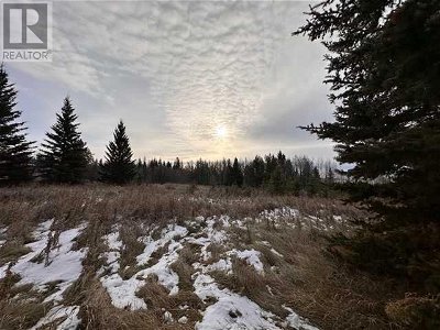 Image #1 of Commercial for Sale at 20 68165 Campsite Road, Plamondon, Alberta