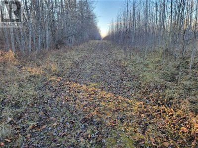 Image #1 of Commercial for Sale at Nse-9-66-20-w4, Athabasca, Alberta