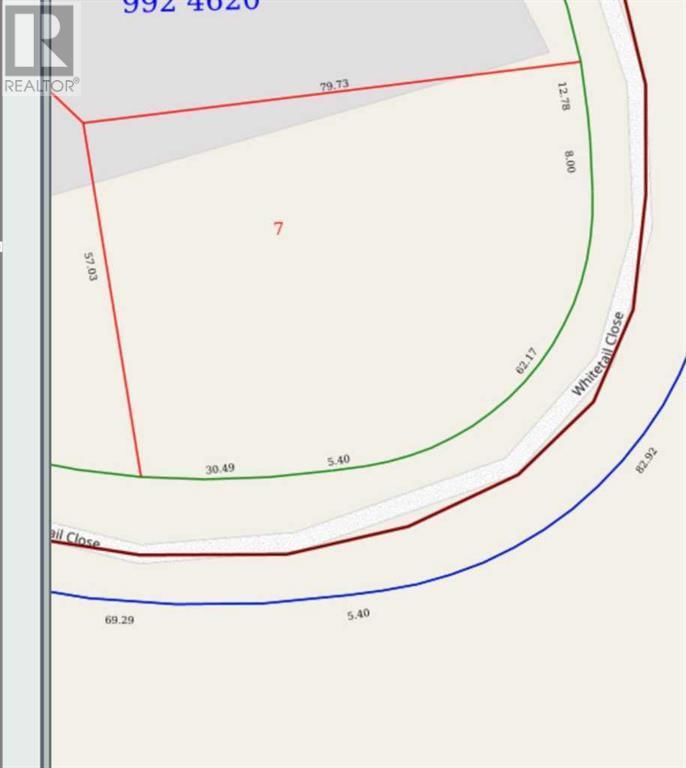 8 Whitetail Close Image 3