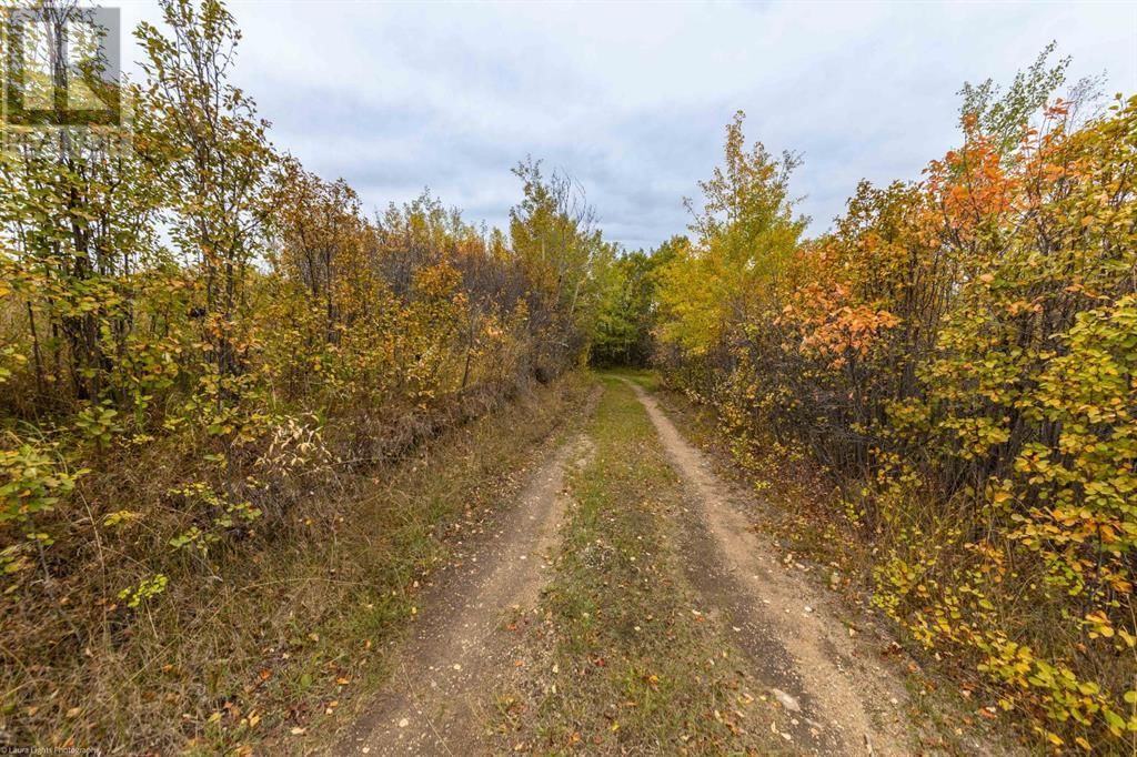 0 52404 RGE RD 3262 Image 36