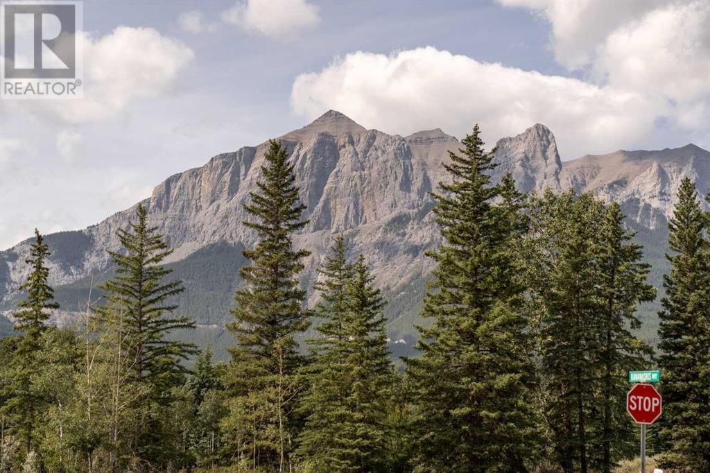 173 KANANASKIS WAY Image 30