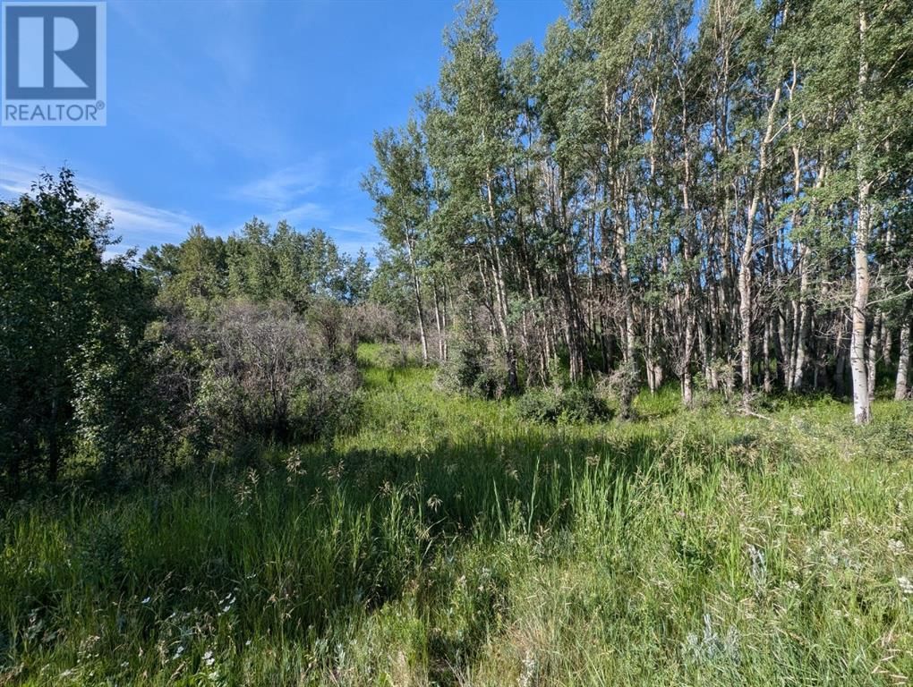 24008 ASPEN DRIVE Image 7