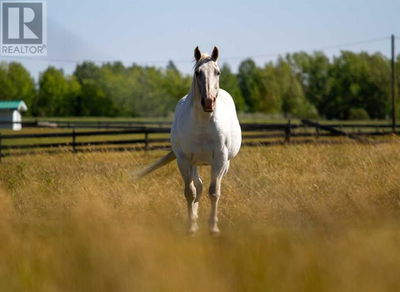 Image #1 of Commercial for Sale at Green Haven Drive, Foothills, Alberta
