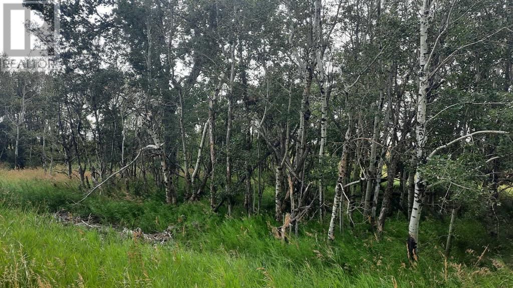 9 RR19-5A ROAD Image 10