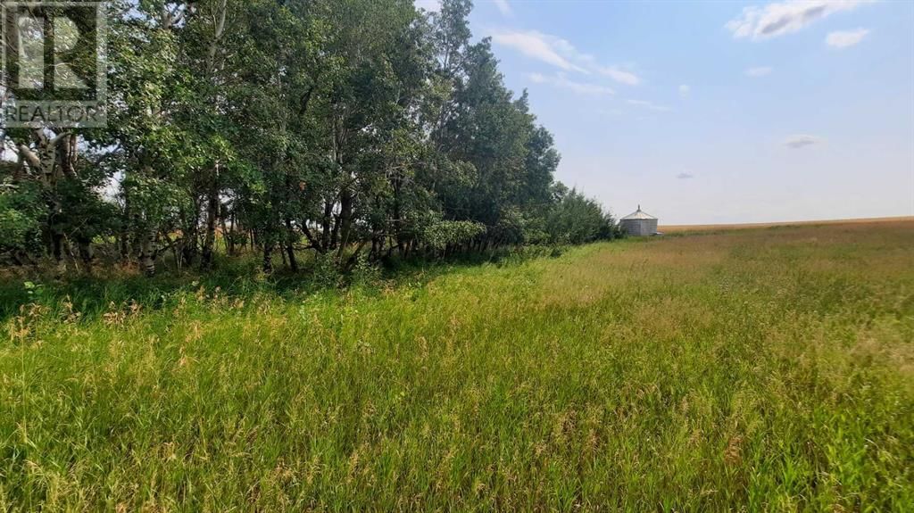 9 RR19-5A ROAD Image 14