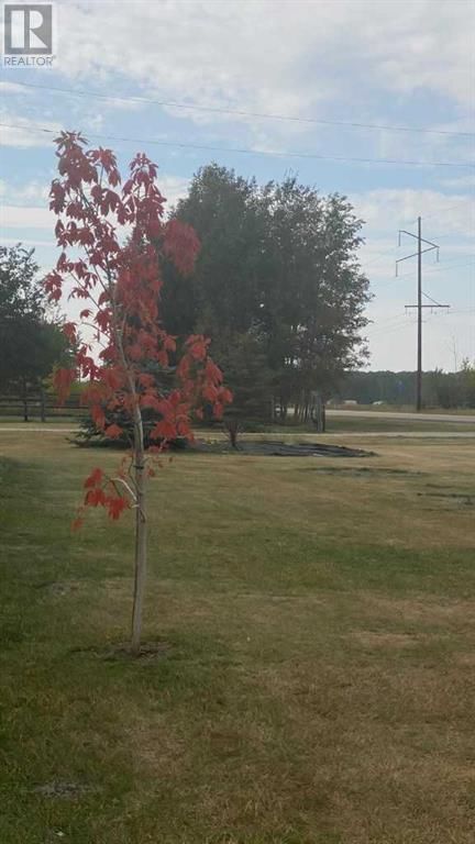 123079 TOWNSHIP ROAD 732 Image 31