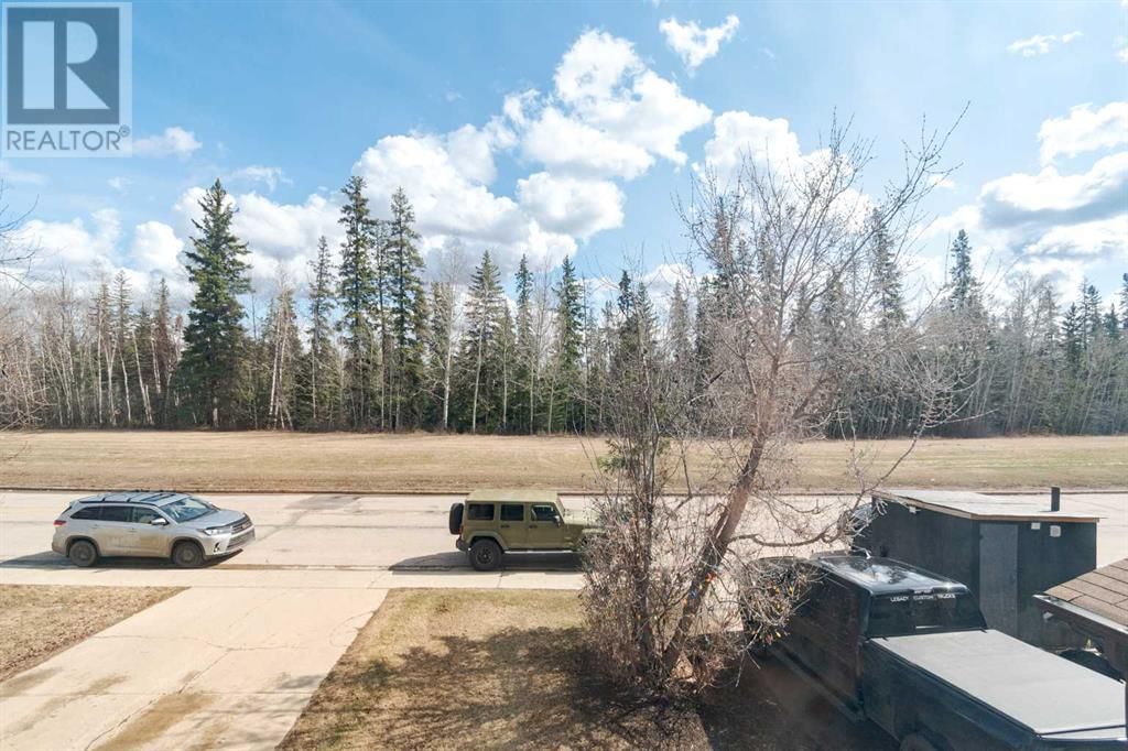 609 TIMBERLINE DRIVE Image 43