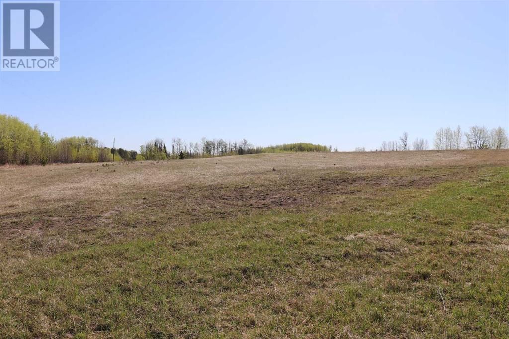 0 TOWNSHIP ROAD 534 AND RANGE ROAD 113 Image 4