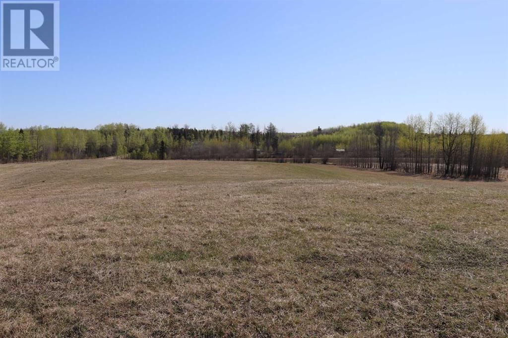 0 TOWNSHIP ROAD 534 AND RANGE ROAD 113 Image 5