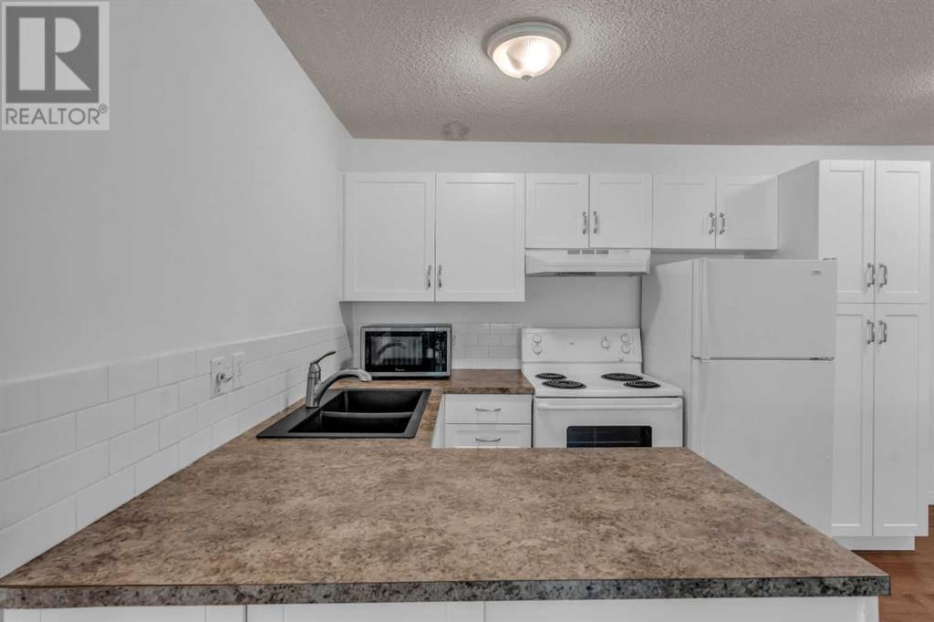 215 25 AVENUE SOUTHWEST Image 6
