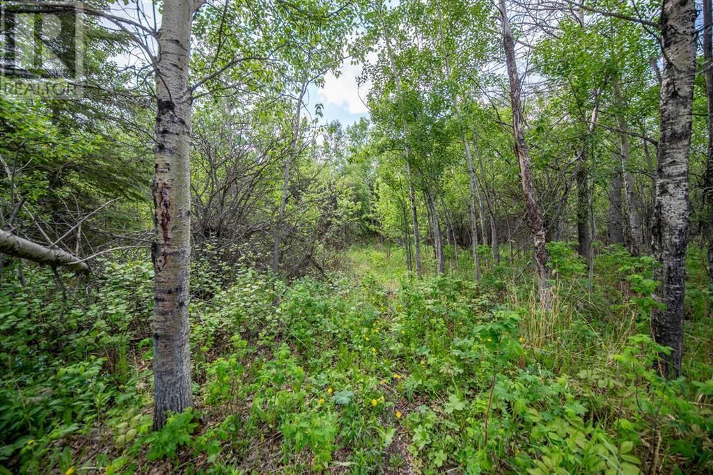755 TWP RD Image 15