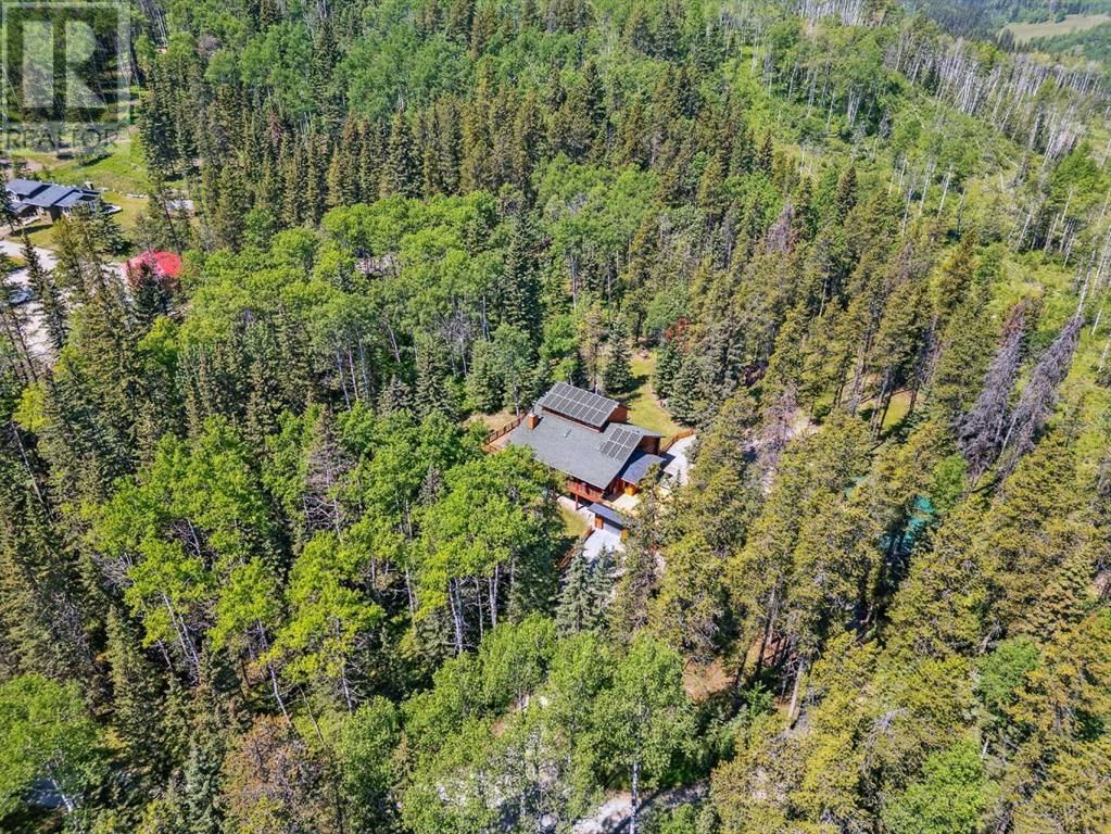 112 ASPEN CREEK DRIVE Image 44