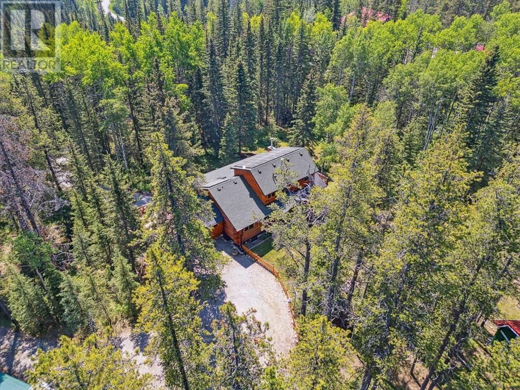 112 ASPEN CREEK DRIVE Image 45