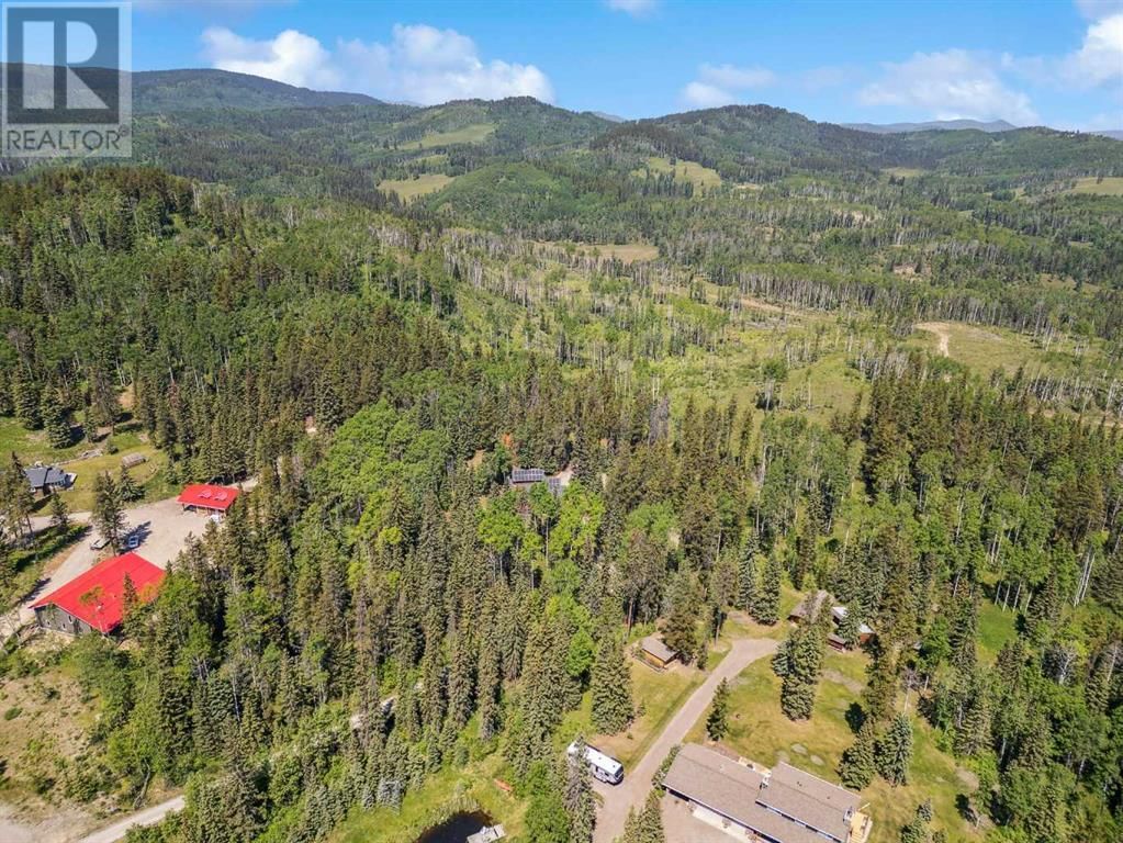 112 ASPEN CREEK DRIVE Image 47