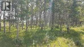 Image #1 of Commercial for Sale at W-5.r-5,t-26,s-13,q-sw And W-5,r-5,t-26,, Rocky View, Alberta