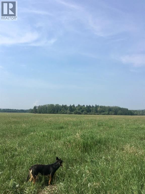 Image #1 of Business for Sale at Highway 771, Ponoka, Alberta