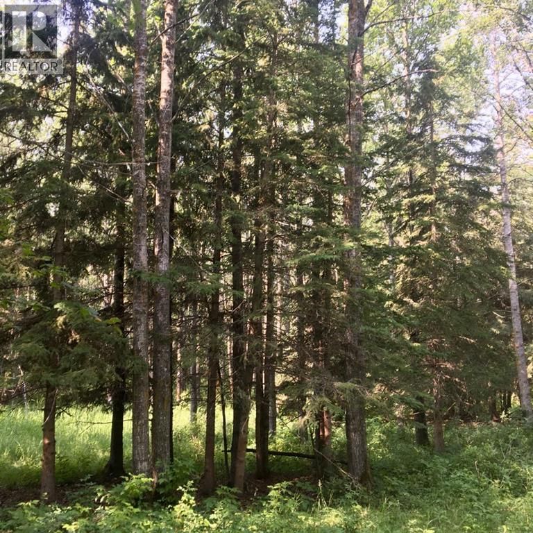 Image #1 of Business for Sale at Highway 771, Ponoka, Alberta