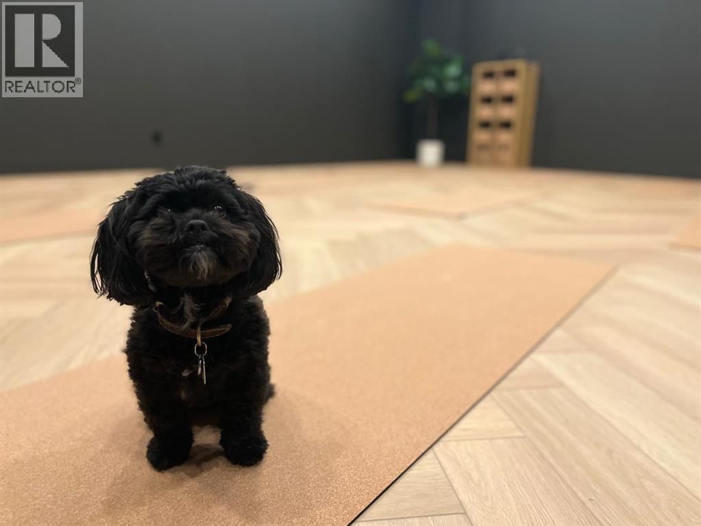 125 OAKMOOR CIRCLE SOUTHWEST Image 38