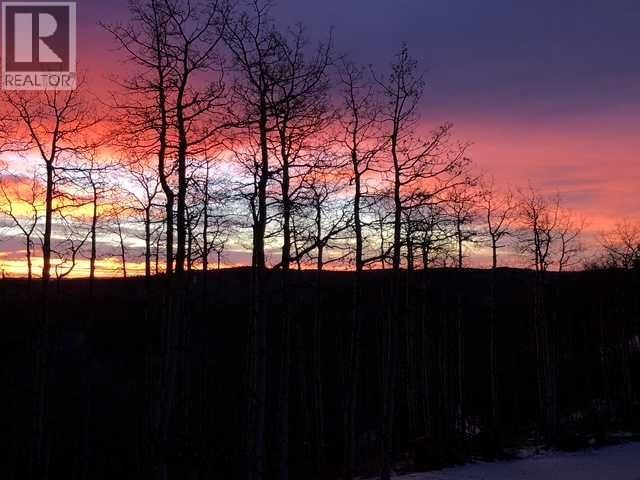 368191 184 AVENUE WEST Image 47