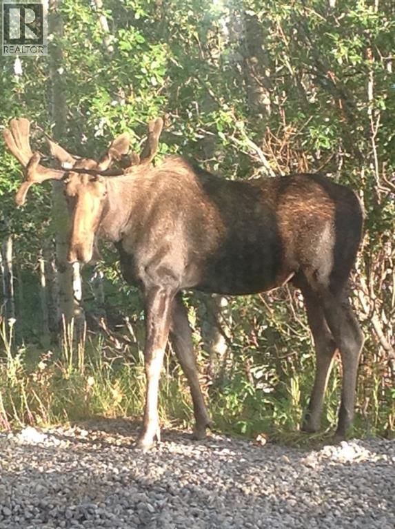 368191 184 AVENUE WEST Image 49