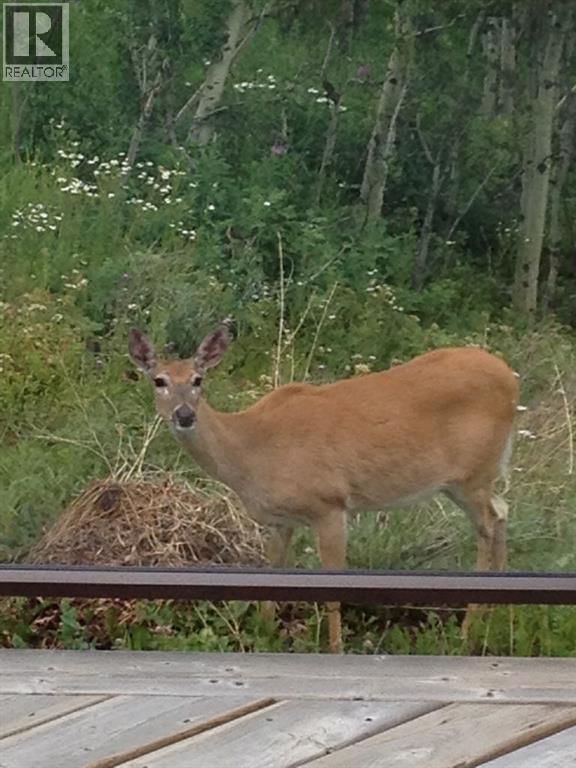 368191 184 AVENUE WEST Image 50