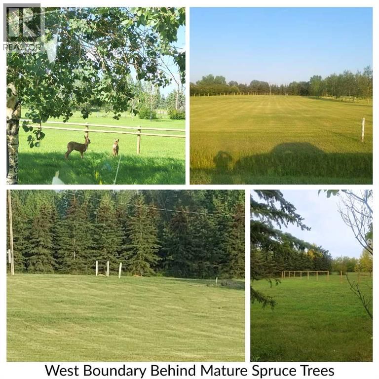 284 RANGE ROAD Image 5