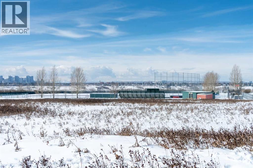 8 VAN HORNE CRESCENT NORTHEAST Image 42