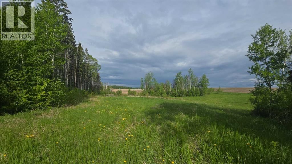 1815421 Old Trail, Plamondon, Alberta T0A 2T0