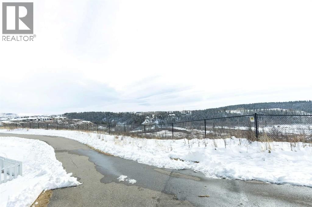 2506 JUMPING POUND COMMON Image 27