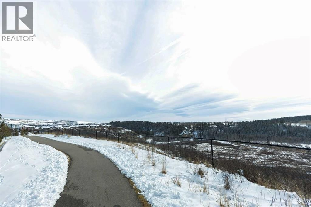 2506 JUMPING POUND COMMON Image 28