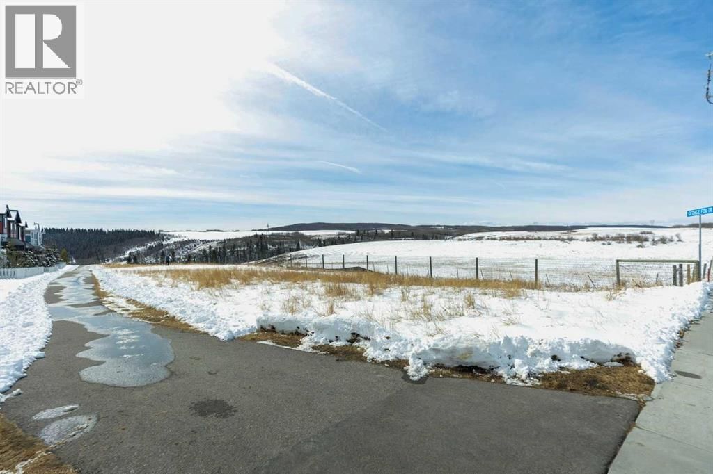 2506 JUMPING POUND COMMON Image 29