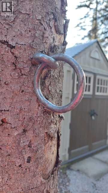 3 TIMBER CRESCENT Image 36