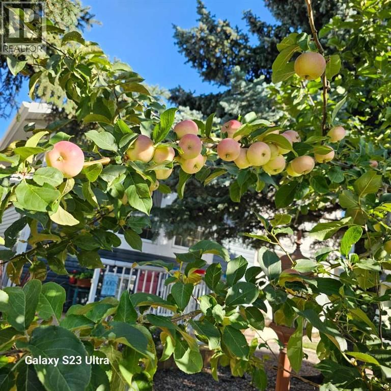 131 WOODGLEN WAY SOUTHWEST Image 33