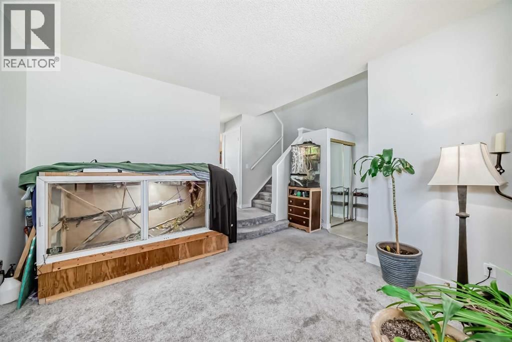 3315 CATALINA BOULEVARD NORTHEAST Image 6