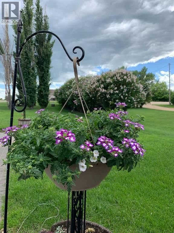 40421 RANGE ROAD 10 Image 43