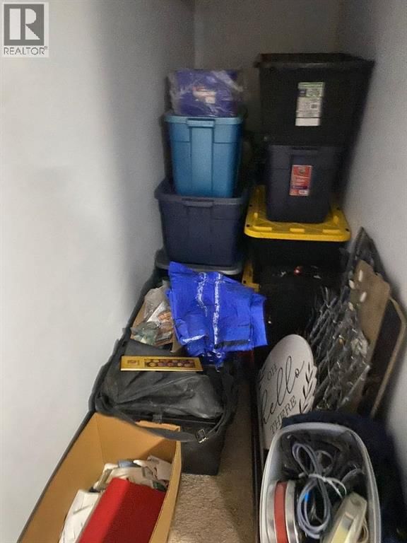 131 BRIDLEWOOD VIEW SOUTHWEST Image 26