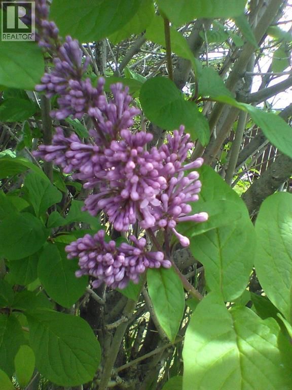 6808 RUNDLEHORN DRIVE NORTHEAST Image 45