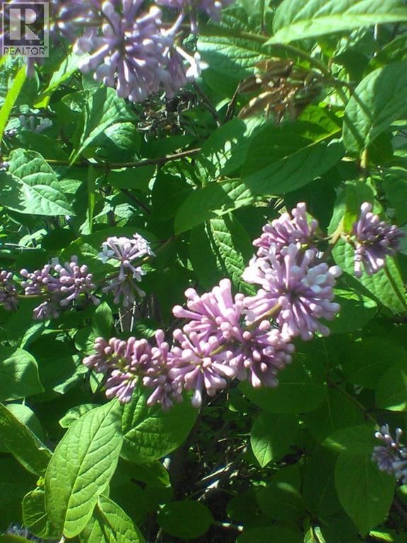 6808 RUNDLEHORN DRIVE NORTHEAST Image 46