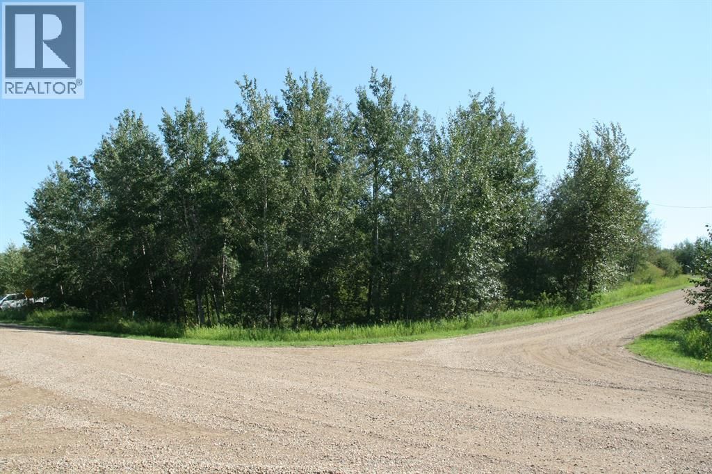 7 Buffalo Drive, Rural Stettler No. 6, County of, Alberta T0C 1G0